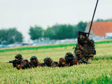 Belgian Paracommandos