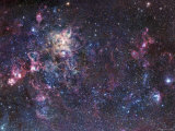 The Tarantula Nebula