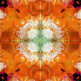 Moods of Mandala  no 3