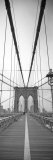Manhattan and Brooklyn Bridge  New York City  USA