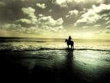 Horseback Riding in the Tide