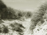 Juist Beach