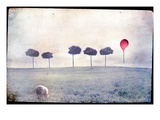 Lamb by Row of Trees and Red Balloon