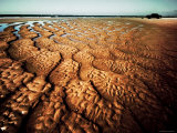 Trails of Water through Sandy Beach