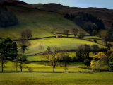 Yorkshire Dales Spring