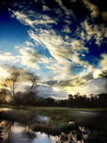 Water Meadow