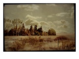 Fenced Field with Trees and Grass