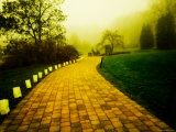 Golden Brick Road Lined with Luminaries