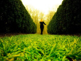 Walking through Garden Maze