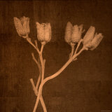 Four Dried Blossoms