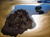 Tidepool