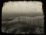 Dune Copie