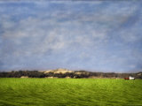 Impressionistic Harvest Field and Truck
