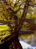 Cotswold Bridge