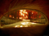 Central Park  no 1