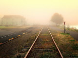 Foggy on the Tracks