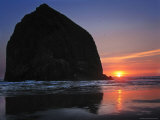 Haystack Rock and Birds