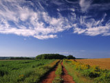 Meadow Bank  Prince Edward Island  Canada