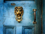 Lion Head