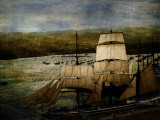 Safe Harbor