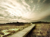 Boardwalk Winding over Sand and Brush
