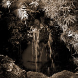 Naiad