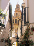Cordoba  Andalucia  Spain