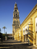 Mezquita  Cordoba  Andalucia  Spain