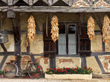 Ferme de La Foret  St Trivier de Courtes  Burgundy  France