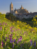 Segovia  Castilla Y Leon  Spain
