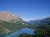 Peyto Lake  Banff Np  Alberta  Canada