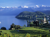 Spiez  Lake Thun  Berner Oberland  Switzerland