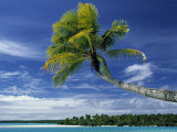 Beach at North Aitutaki Island  Cook Islands