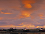 Punta Arenas  Magellanes  Chile