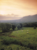 Ben Bulben  Yeats Country  Co Sligo  Ireland
