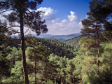 Troodos Mountains  Cyprus
