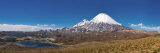 Volcan Parinacota  Lauca National Park  Tarapaca Region  Northern Chile