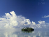 Tropical Island  Raratonga  Cook Islands