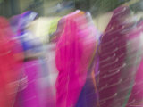 Woman Wearing Saris  Udaipur  Rajasthan  India
