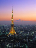 Tokyo Tower  Tokyo  Japan