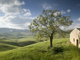 Pergusa  Nr Enna  Sicily  Italy