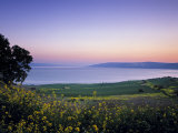 Sea of Galilee  Israel