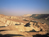 Nahal Zin  Negev Desert  Israel