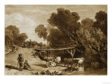 Bridge and Cows