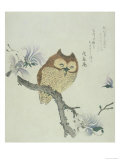 Owl on a Flowering Magnolia Branch