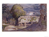 Barn at Shoreham