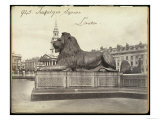 Stone Lion  Trafalgar Square  London  19th Century