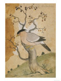 Black Headed Myna on a Tree-Trunk  India  19th Century