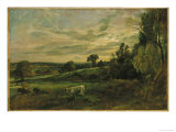 Summer Evening Near East Bergholt  Suffolk