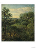 Valley Scene with Trees